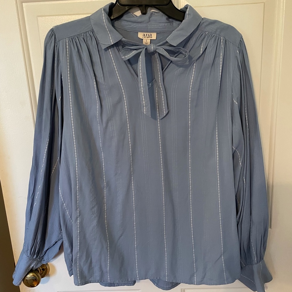 Ana Dressy blouse.